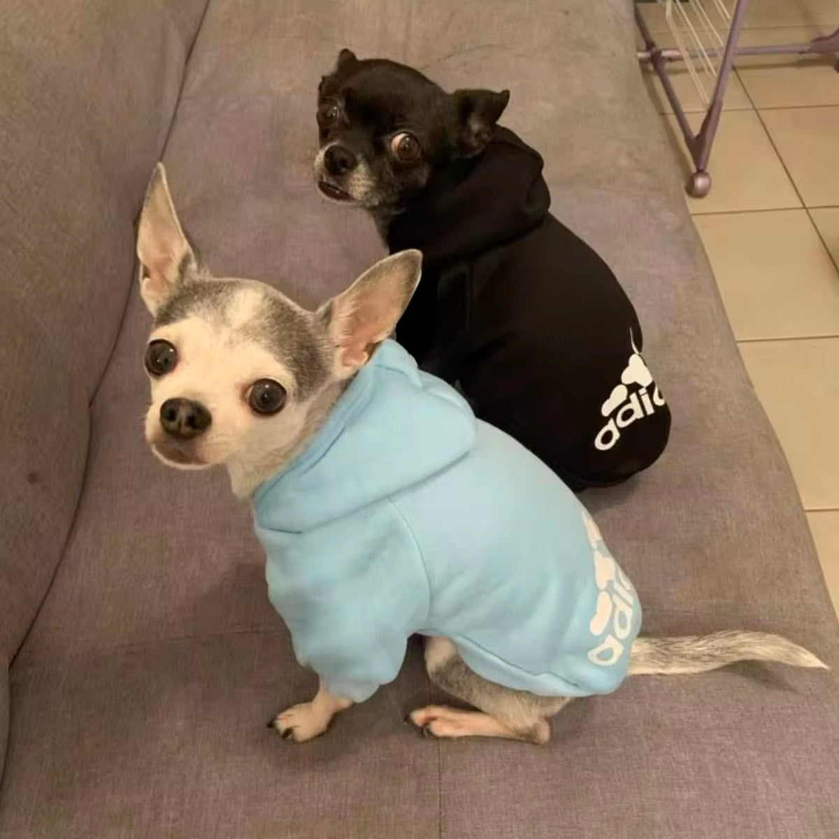 Adidog Hoodies - OVERZELUS