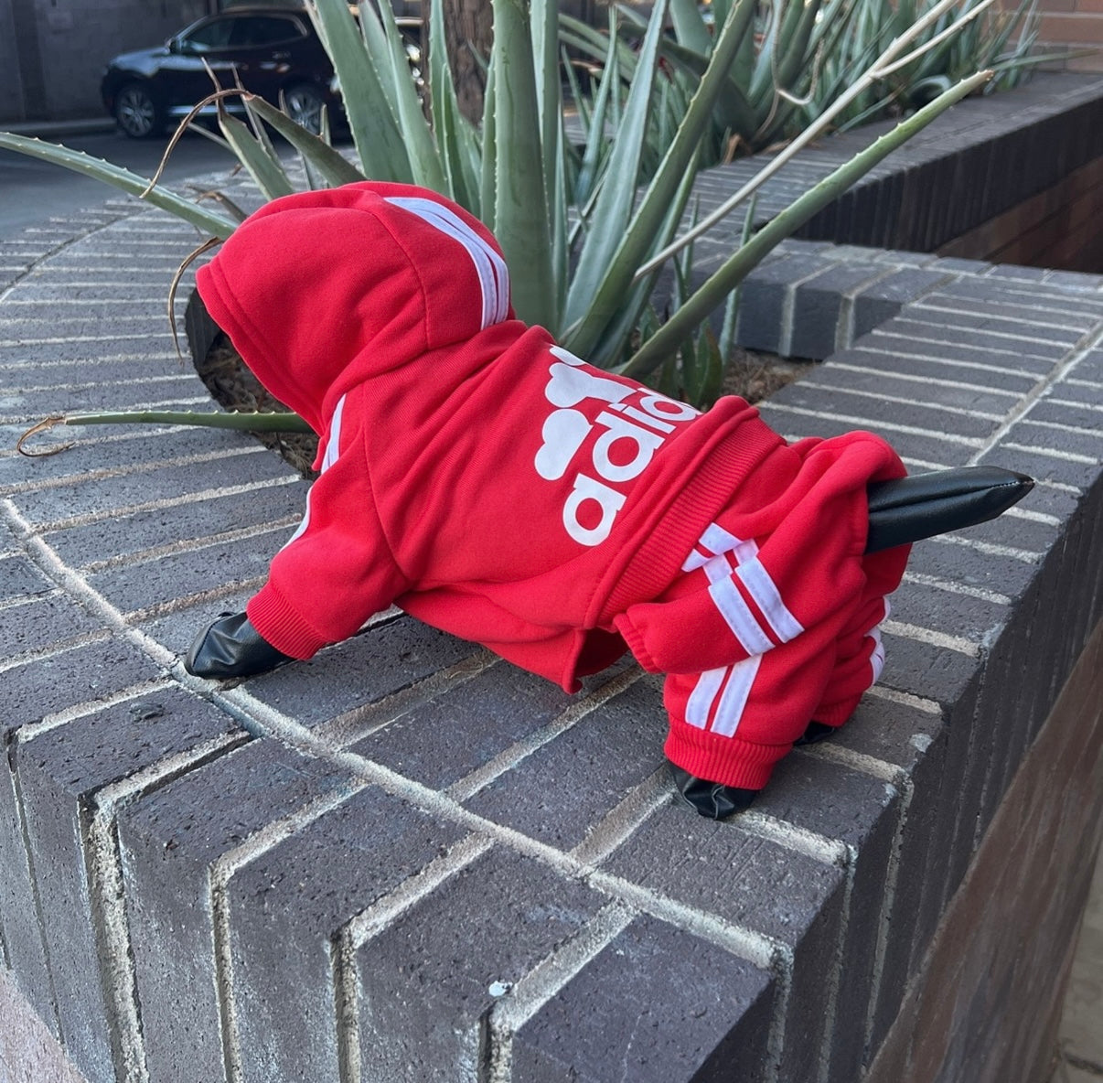 Adidog Jumpsuits - OVERZELUS