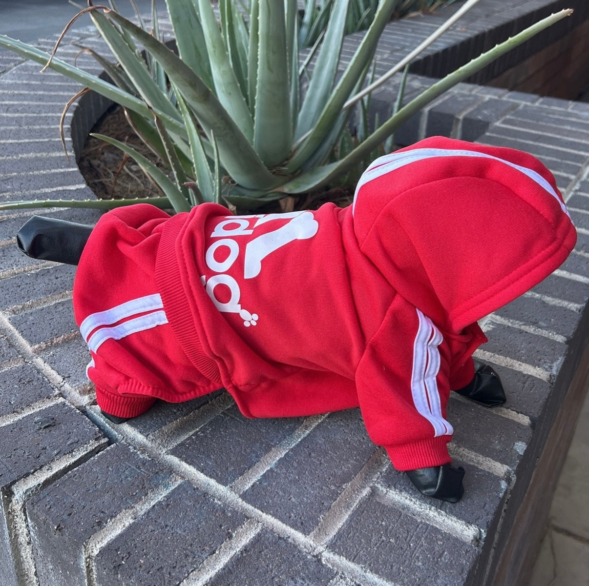 Adidog Jumpsuits - OVERZELUS