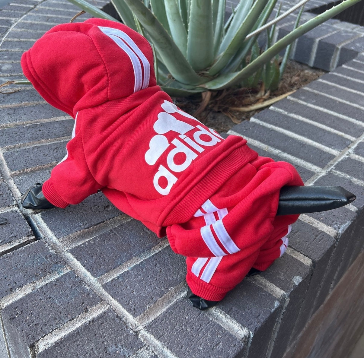 Adidog Jumpsuits - OVERZELUS