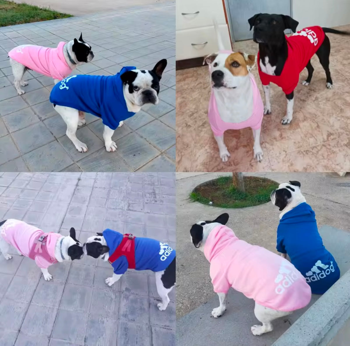 Adidog Hoodies - OVERZELUS