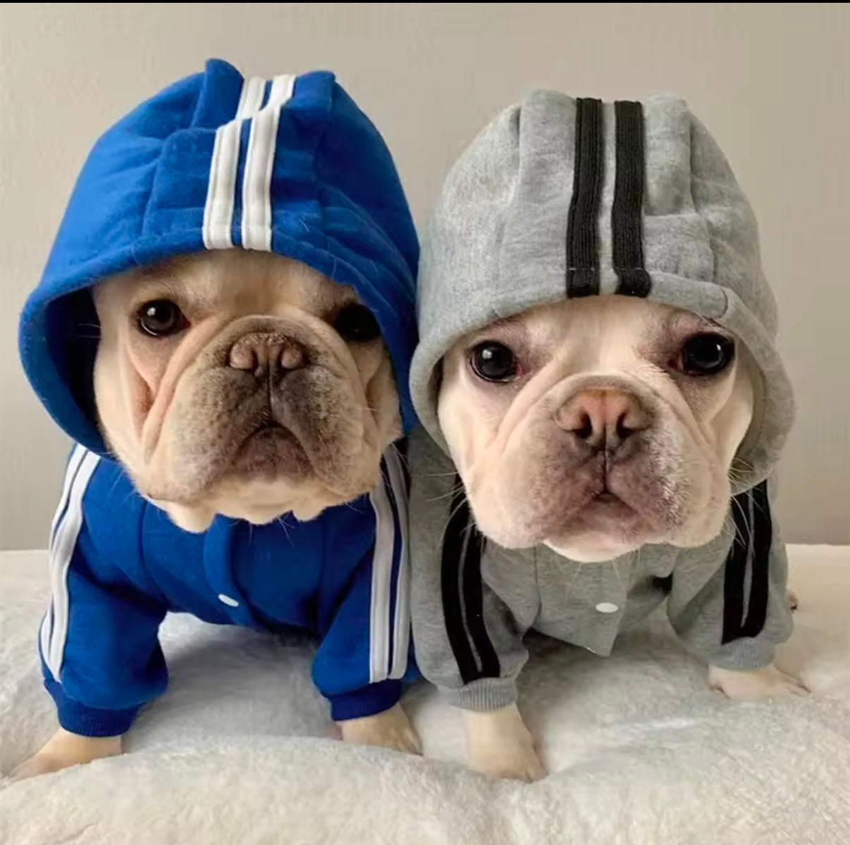 Adidog Jumpsuits